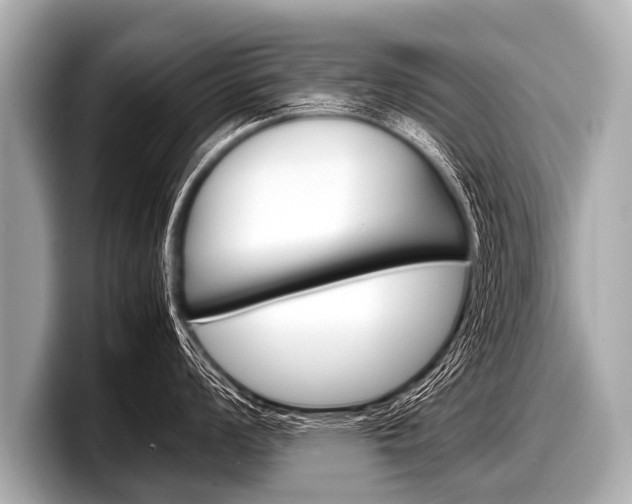 X0000098221008200804241129