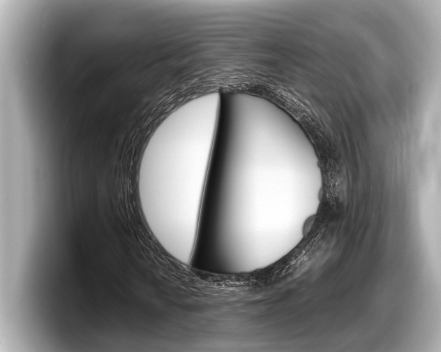X0000098221010200804241129