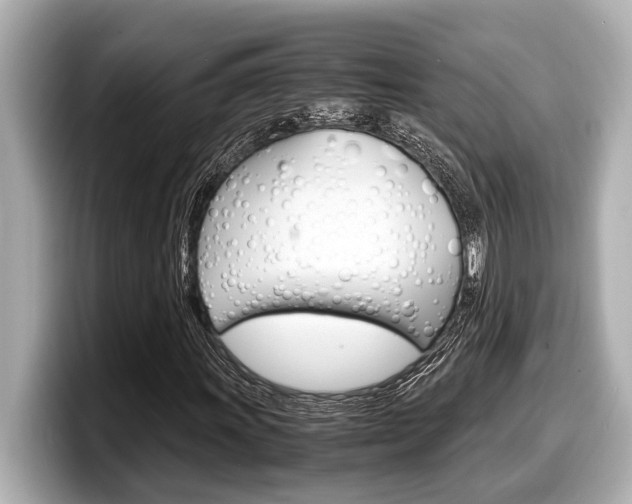 X0000098221011200804241129