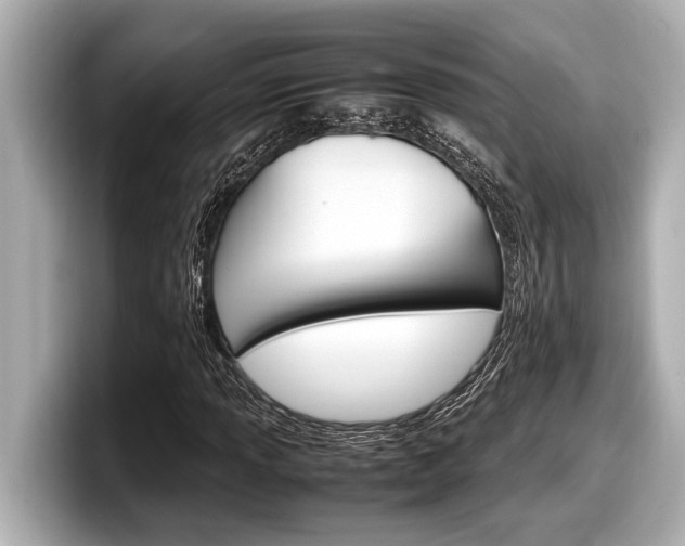 X0000098221013200804241129