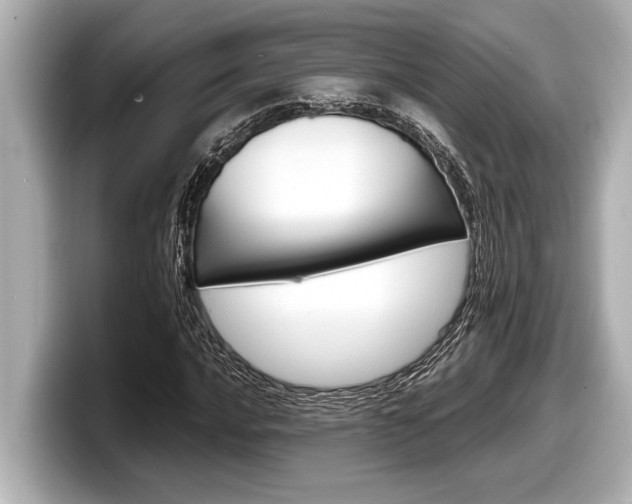 X0000098221016200804241129