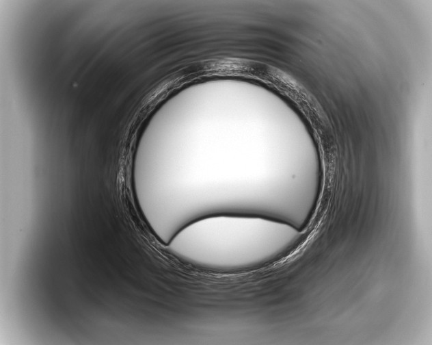 X0000098221017200804241129