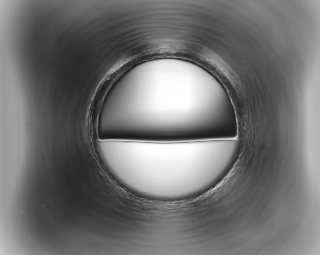 X0000098221018200804241129