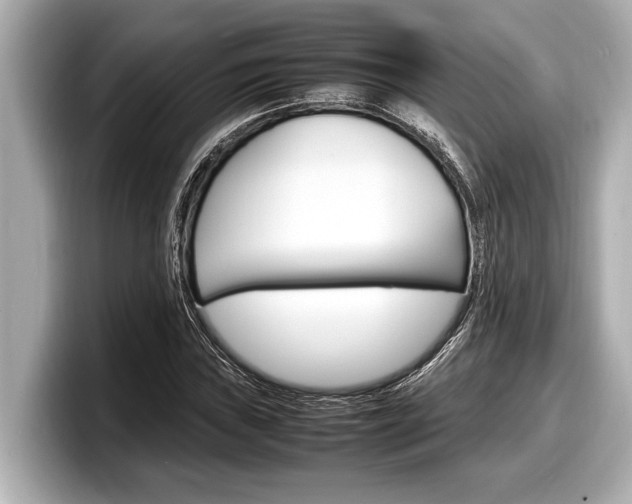 X0000098221019200804241129