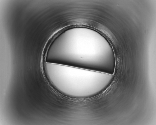 X0000098221020200804241129