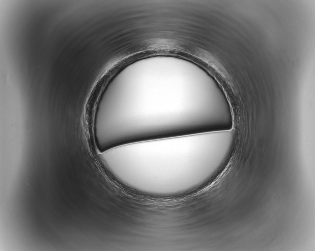 X0000098221022200804241129