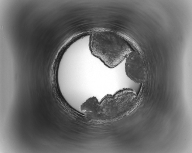X0000098221023200804241129