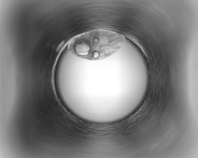 X0000098221024200804241129