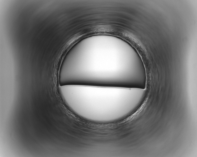 X0000098221025200804241129