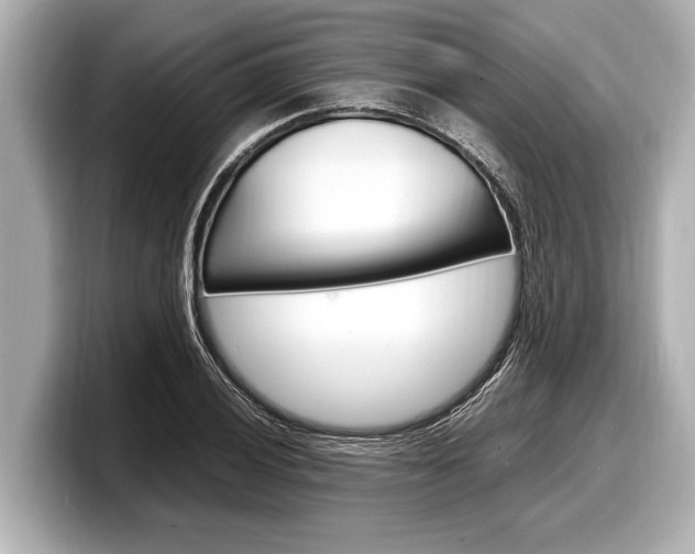 X0000098221028200804241129