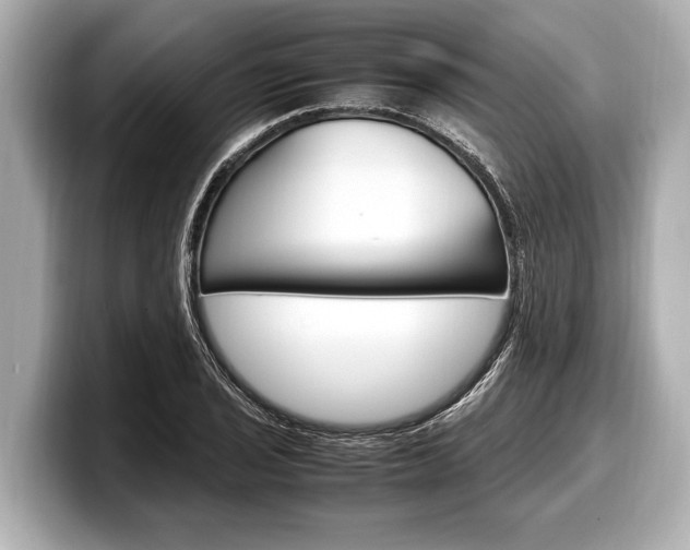 X0000098221029200804241129