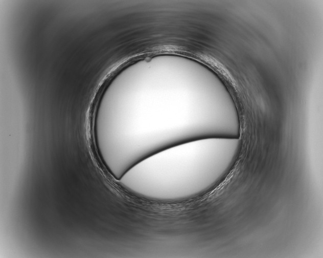 X0000098221031200804241129