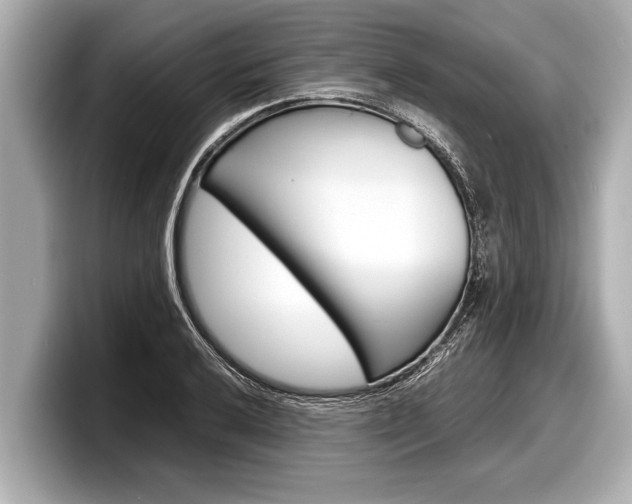 X0000098221032200804241129