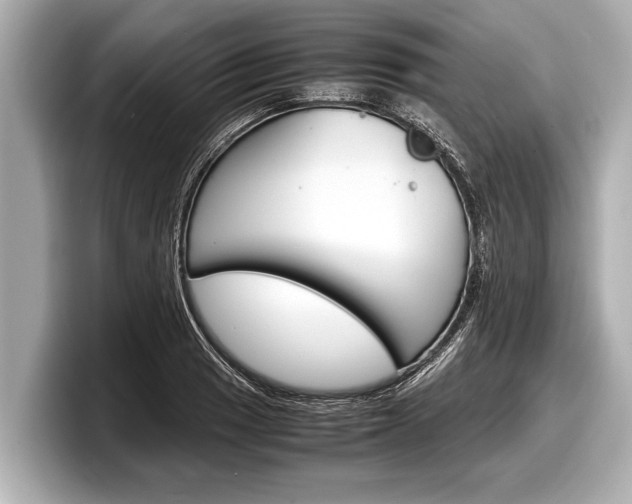 X0000098221033200804241129
