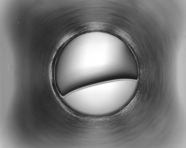 X0000098221034200804241129