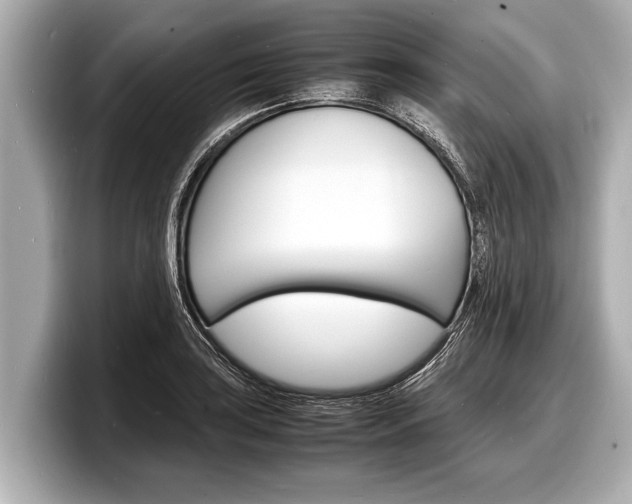 X0000098221035200804241129