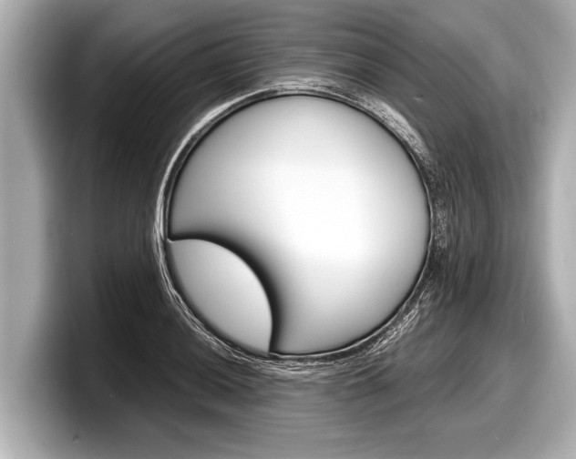 X0000098221036200804241129