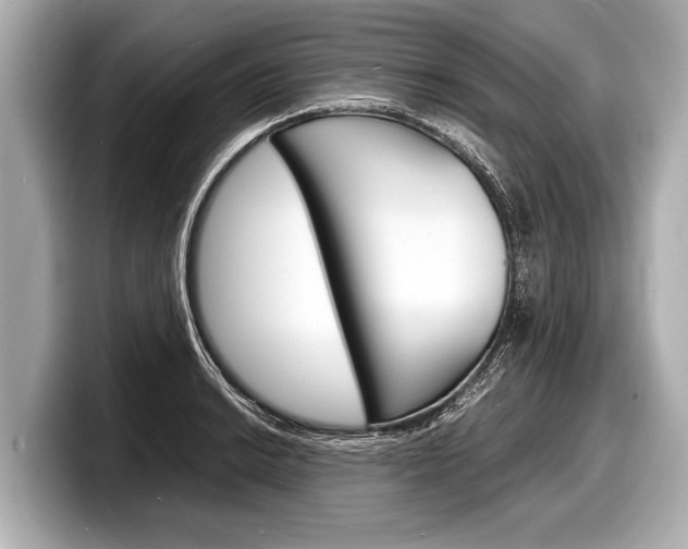 X0000098221038200804241129