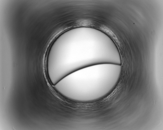 X0000098221039200804241129