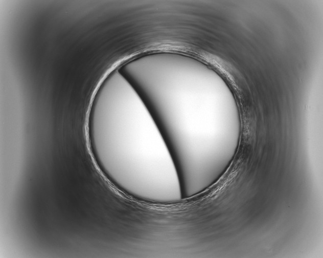X0000098221040200804241129