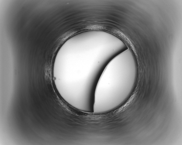 X0000098221041200804241129