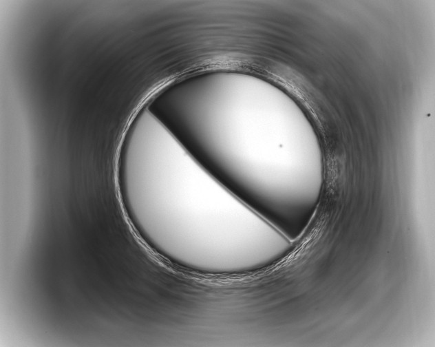 X0000098221042200804241129