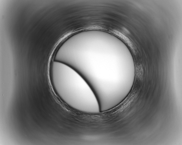 X0000098221043200804241129