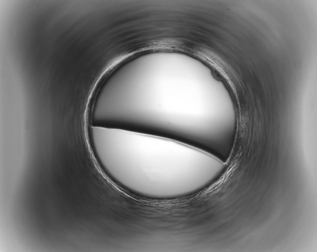 X0000098221045200804241129