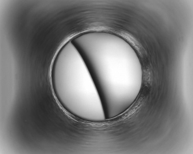 X0000098221046200804241129