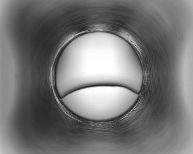 X0000098221047200804241129