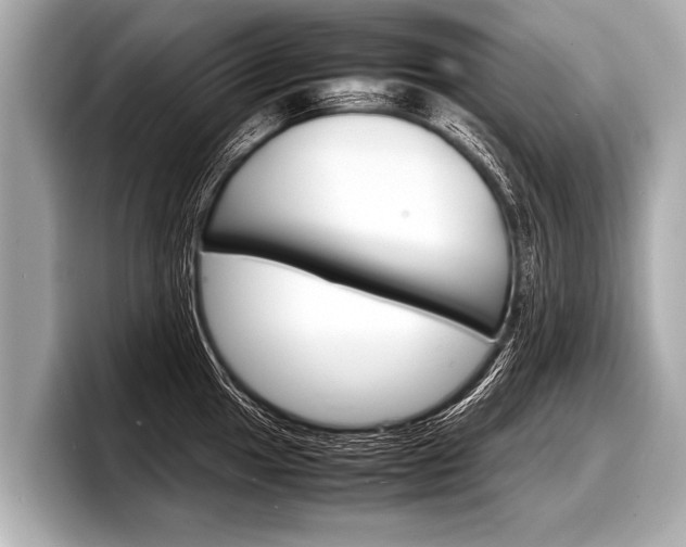 X0000098221049200804241129
