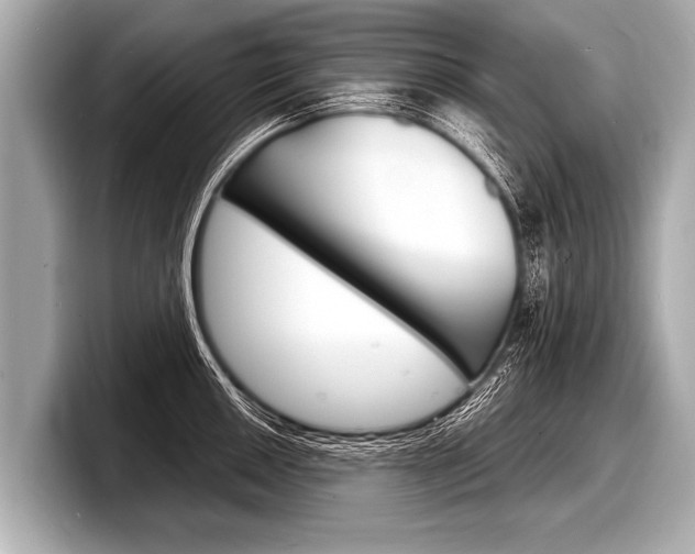 X0000098221050200804241129