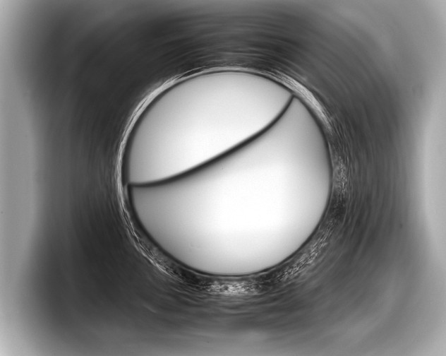 X0000098221051200804241129