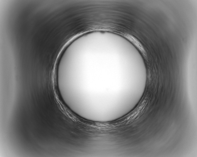 X0000098221052200804241129