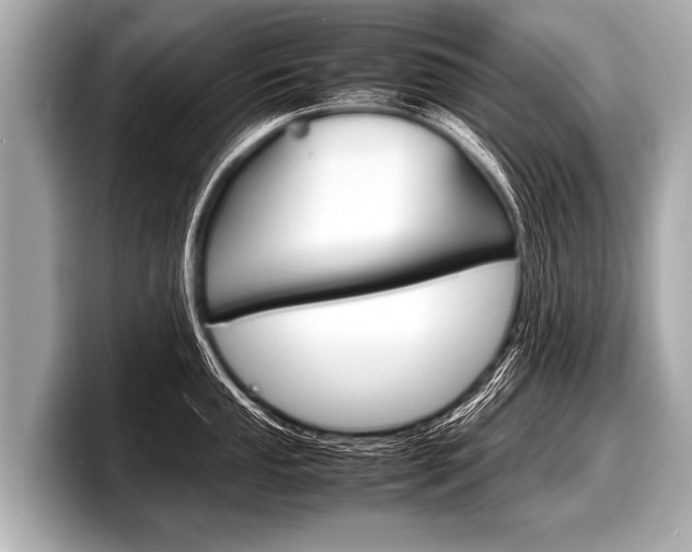 X0000098221053200804241129