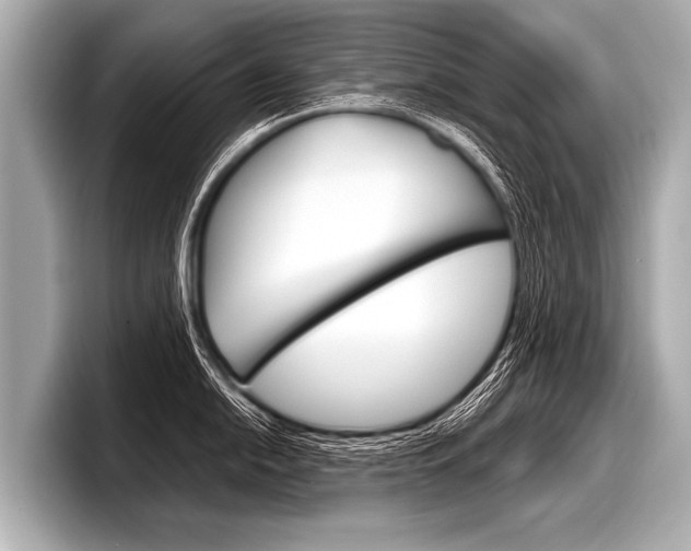 X0000098221054200804241129