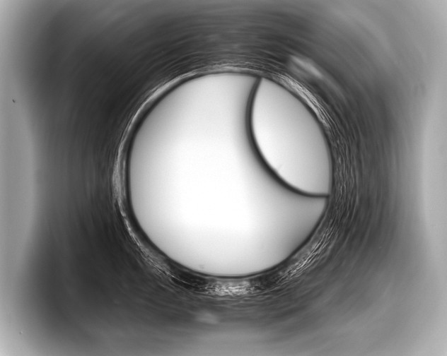X0000098221055200804241129