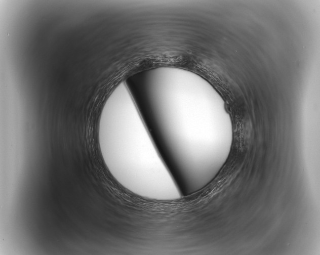 X0000098221058200804241128