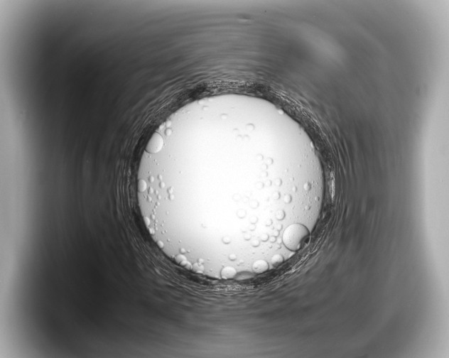 X0000098221059200804241128