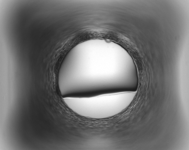 X0000098221061200804241128