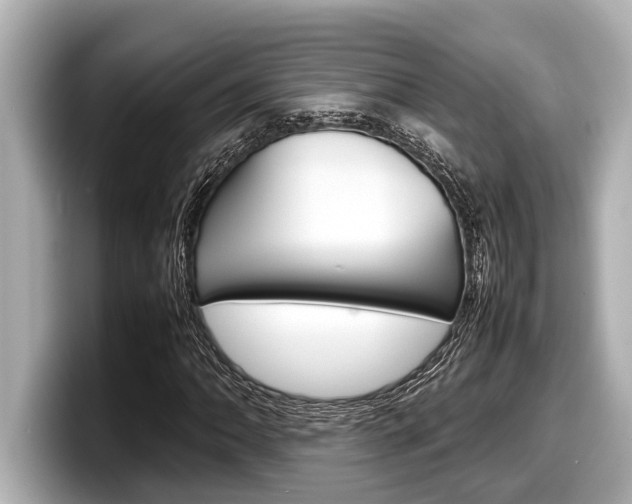 X0000098221062200804241128