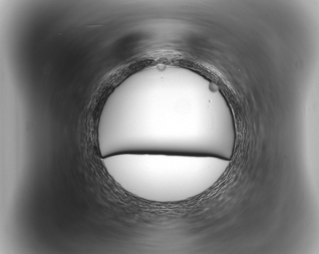 X0000098221063200804241128
