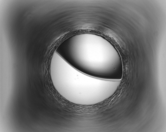 X0000098221064200804241128