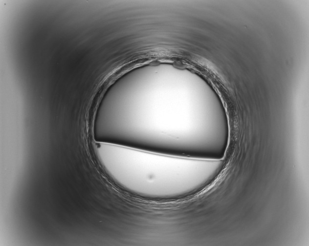 X0000098221065200804241128