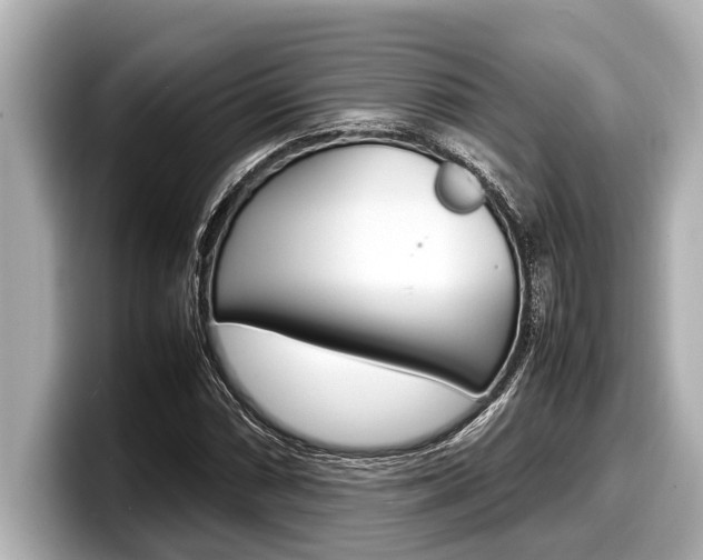 X0000098221066200804241128