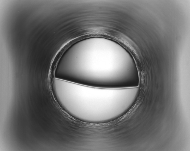 X0000098221068200804241128