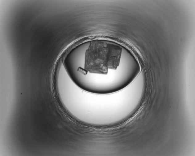 X0000098221069200804241128