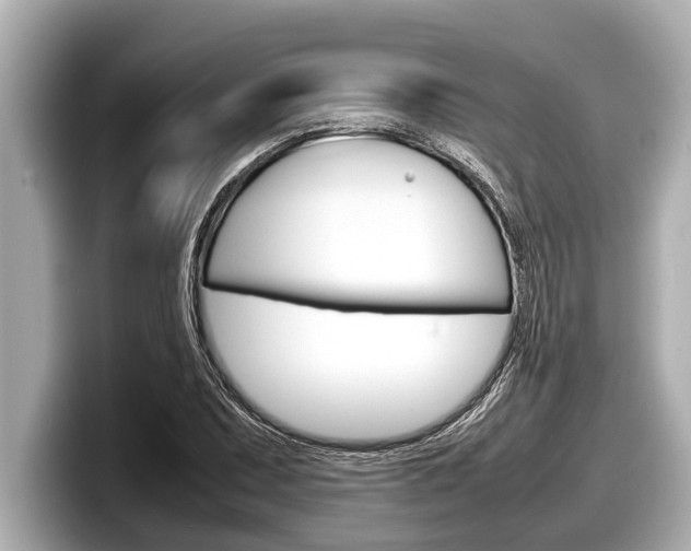 X0000098221071200804241128