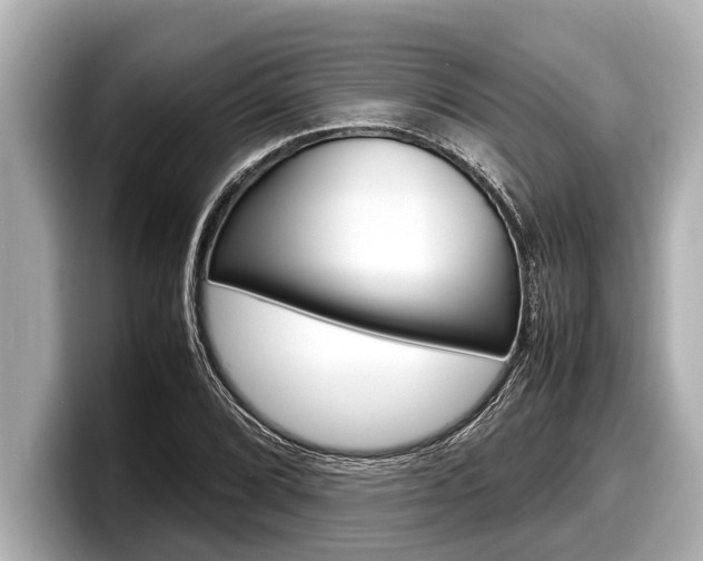 X0000098221072200804241128