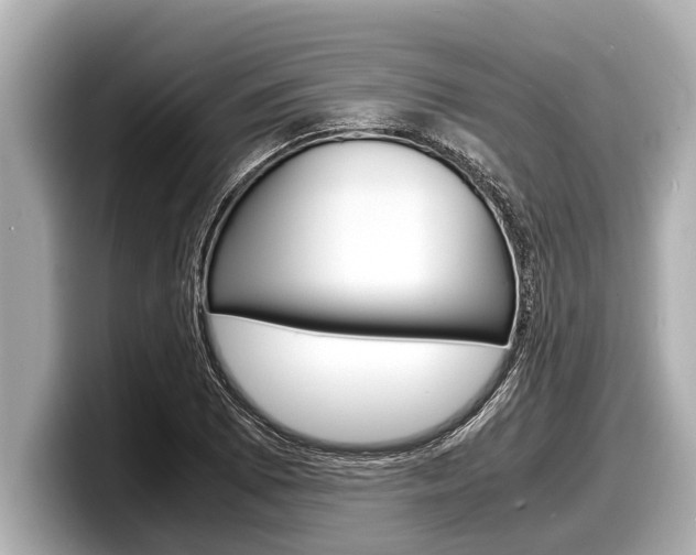X0000098221073200804241128